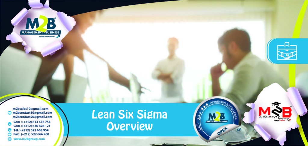 Lean Six Sigma Overview