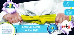 [SFO_C_OPEX_PG_LS_200] Lean Six Sigma Yellow Belt